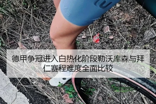 德甲争冠进入白热化阶段勒沃库森与拜仁赛程难度全面比较 | kaiyun